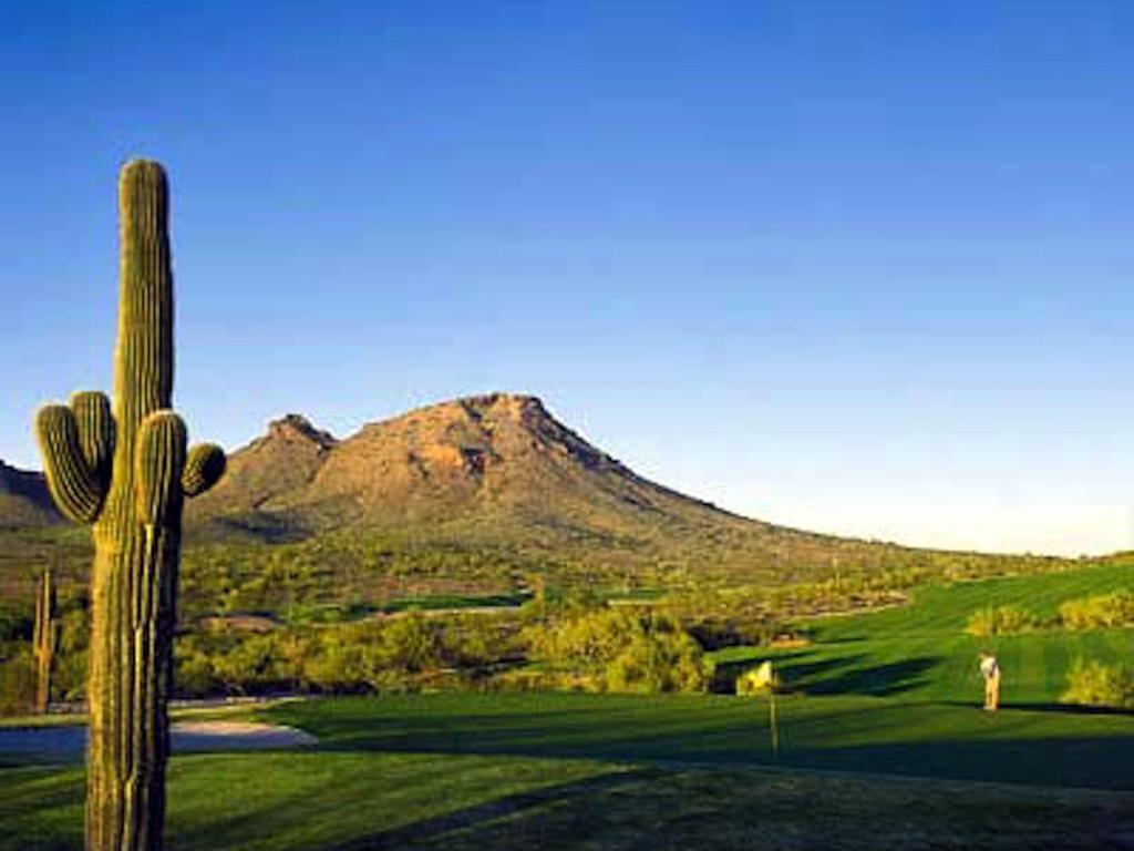 Gated Mountain View Resort Community, Centrally Located, Three Heated Pool-Spa Complexes, Half-Mile To Hiking! Phoenix Exteriér fotografie